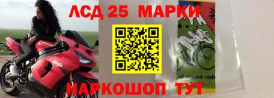 гидра Ивантеевка