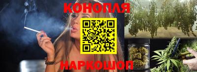 стаф Ижевск