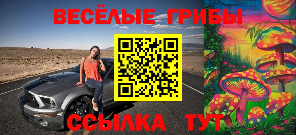 Галлюциногенные грибы Cubensis Новокубанск