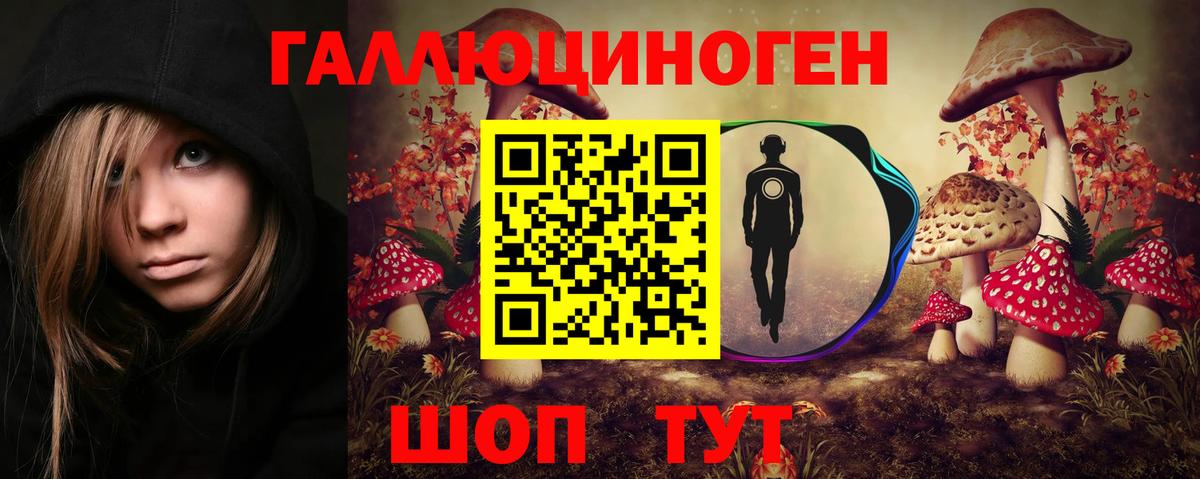 Псилоцибиновые грибы MAGIC MUSHROOMS  магазин продажи   Новокубанск  Вход с VPN 