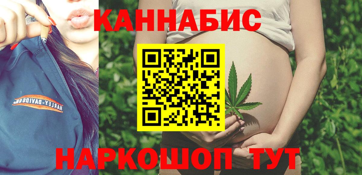 Марихуана сатива Новокубанск